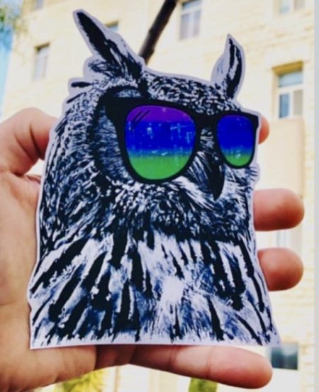 Large Owl Sticker